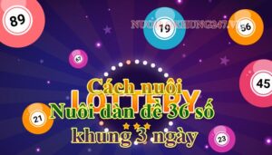 Cách nuôi dàn đề 36 số khung 3 ngày