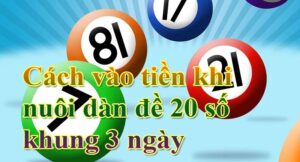 Cách vào tiền khi nuôi dàn đề 20 số khung 3 ngày