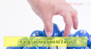 Cách vào tiền nuôi lô 3 ngày như thế nào