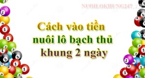 Cách vào tiền nuôi lô bạch thủ khung 2 ngày