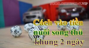 Cách vào tiền nuôi song thủ khung 2 ngày