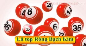 Lô top Rồng Bạch Kim được hiểu như thế nào