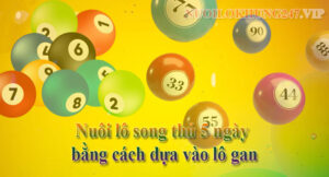 Nuôi lô song thủ 5 ngày bằng cách dựa vào lô gan