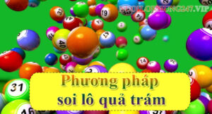 Phương pháp soi lô quả trám