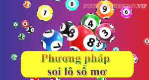 Phương pháp soi lô sổ mơ