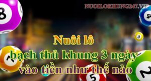 Quản lý vốn nuôi lô bạch thủ khung 3 ngày theo tỷ lệ 123