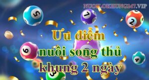 Ưu điểm của nuôi song thủ khung 2 ngày