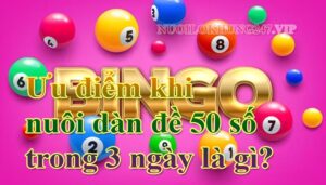 Ưu điểm khi nuôi dàn đề 50 số trong 3 ngày là gì