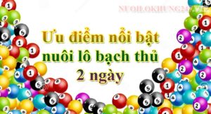 Ưu điểm nổi bật nuôi lô bạch thủ 2 ngày