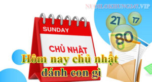 Hôm nay chủ nhật đánh con gì - Đài Miền Bắc