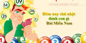 Hôm nay chủ nhật đánh con gì - Đài Miền Nam