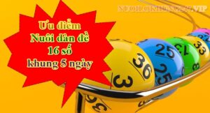 Ưu điểm lập dàn đề 16 số 5 ngày như thế nào